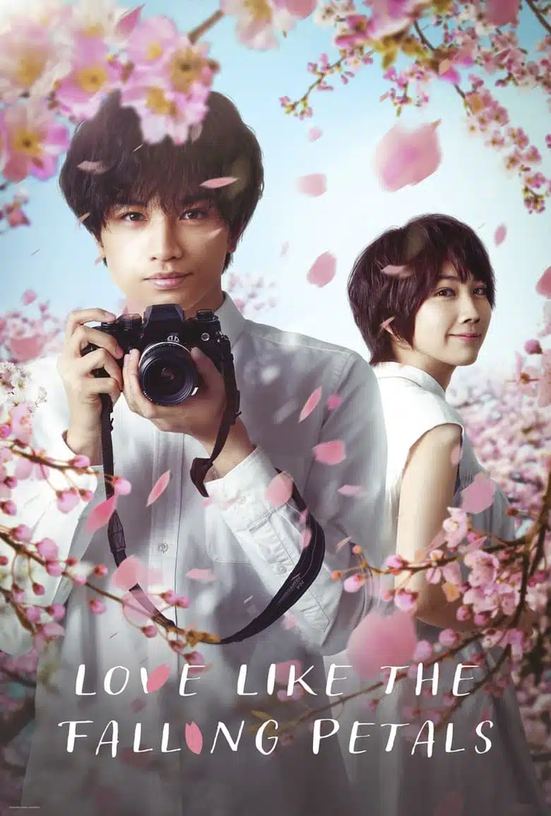 Love Like The Falling Petals (2022) ใบไม้ผลิที่ไม่มีเธอเป็นซากุระ