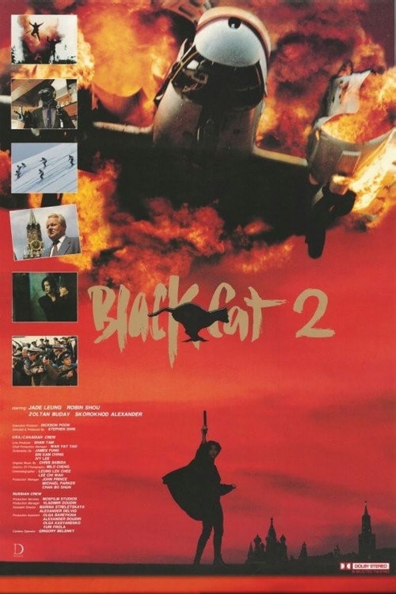 Black Cat 2 (1992) หัวใจเธอมันน่ากราบ ภาค 2