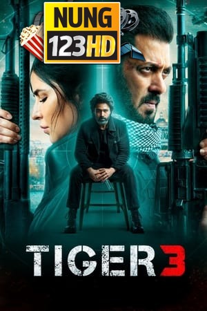Tiger 3 (2024) เรียกข้าว่าเสือ 3